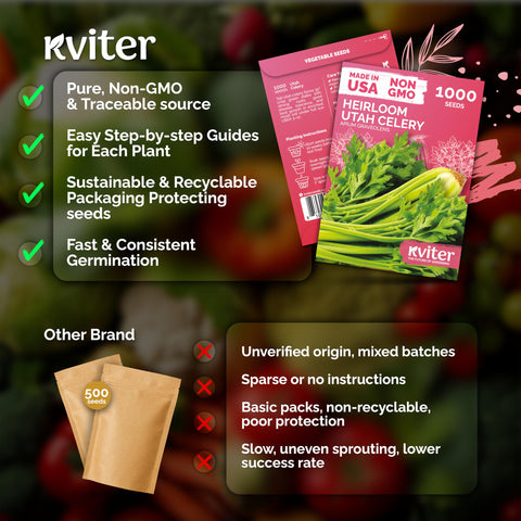 KVITER celery leaves and stalks for versatile home cooking.