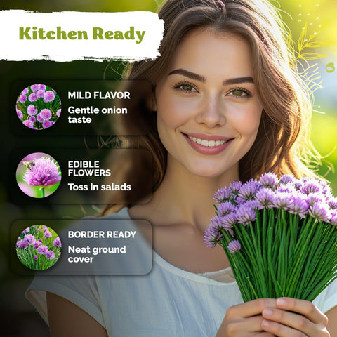 KVITER chive flowers with pink-fuchsia heads add edible garnish.
