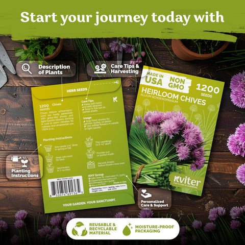 KVITER chive seeds for indoor/outdoor garden growth and quick harvest.