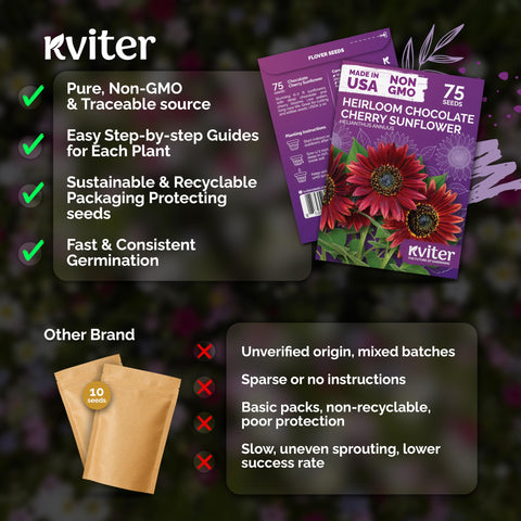 KVITER chocolate cherry sunflower cut flowers, long-lasting bouquets for indoor arrangements.