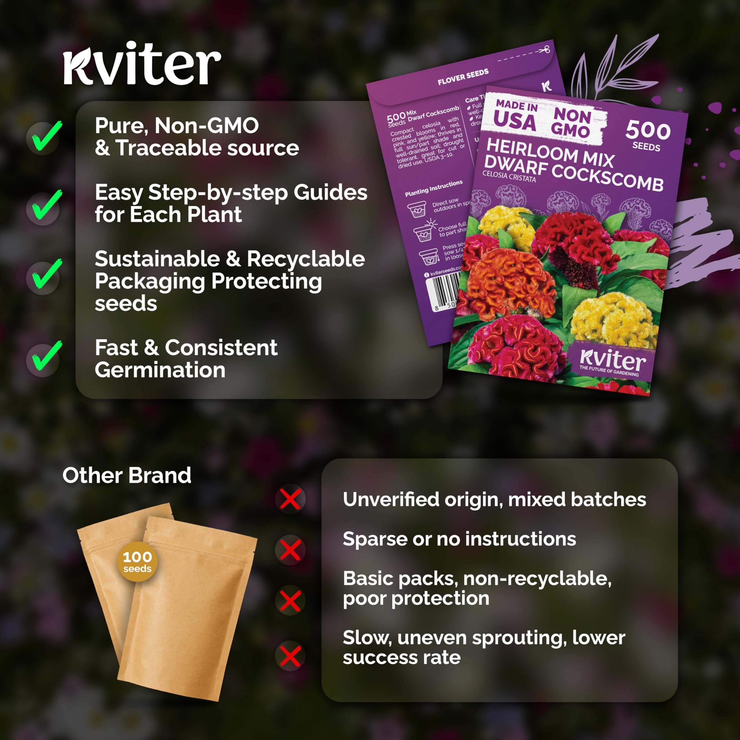 KVITER cockscomb drought-tolerant seed adapts to poorer soils