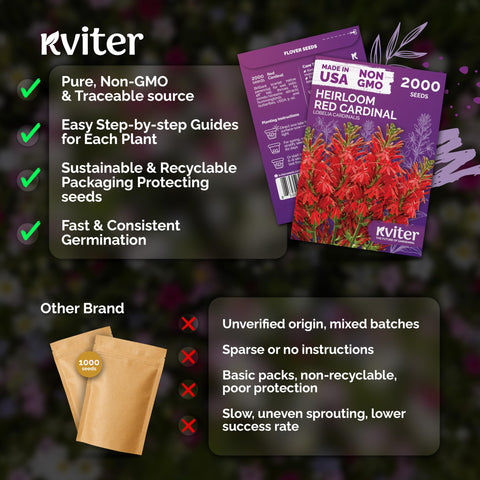 KVITER 2000 seeds require eight-week cold stratification for reliable germination.