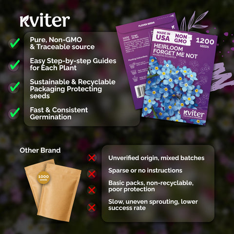 KVITER Compact blue clumps create dense ground cover in borders.