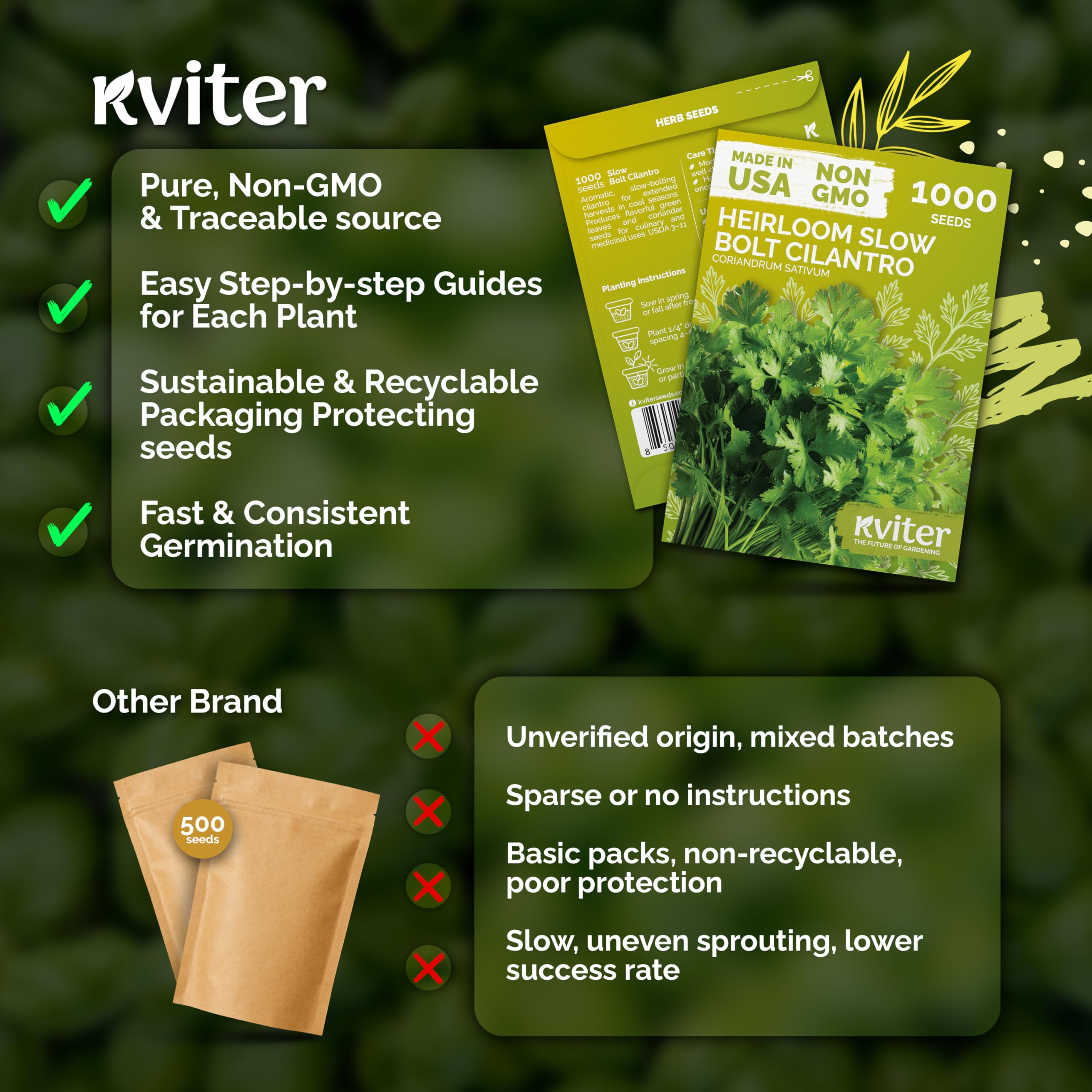 KVITER compact cilantro plants reaching 1-3 feet in garden