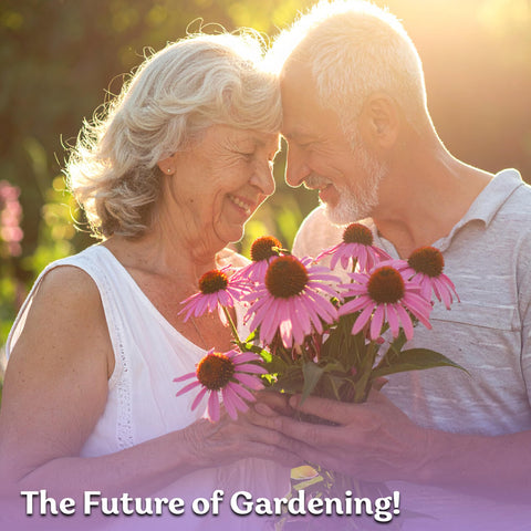 KVITER wildflower seed pack supports pollinator gardens and landscape beds.