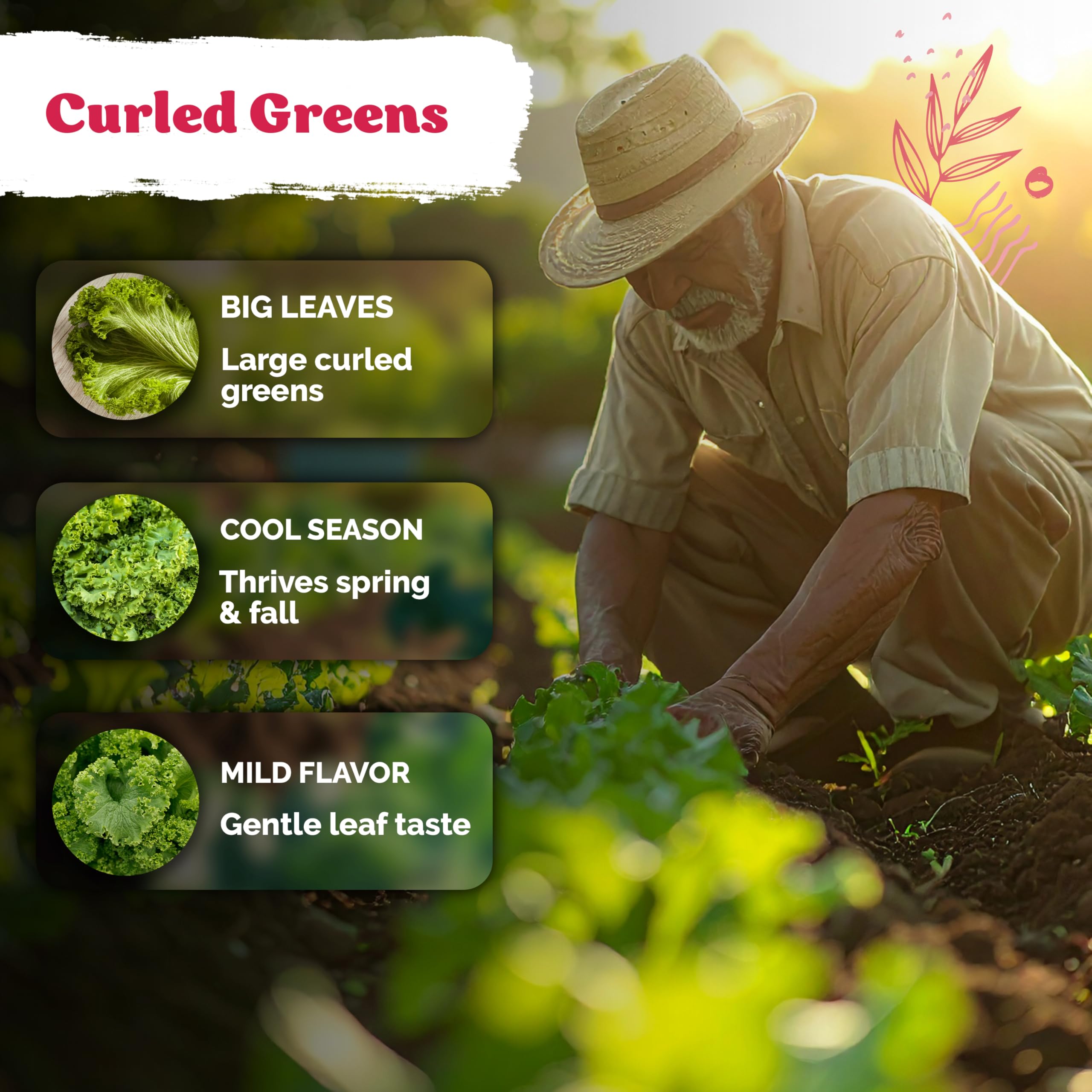 KVITER cool-weather planting image highlights fall greens thriving in cooler climates.