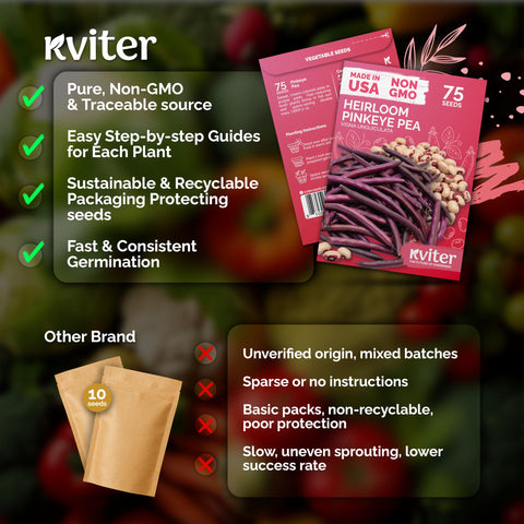 KVITER Cream-colored peas closeup highlighting creamy flavor profile and versatility
