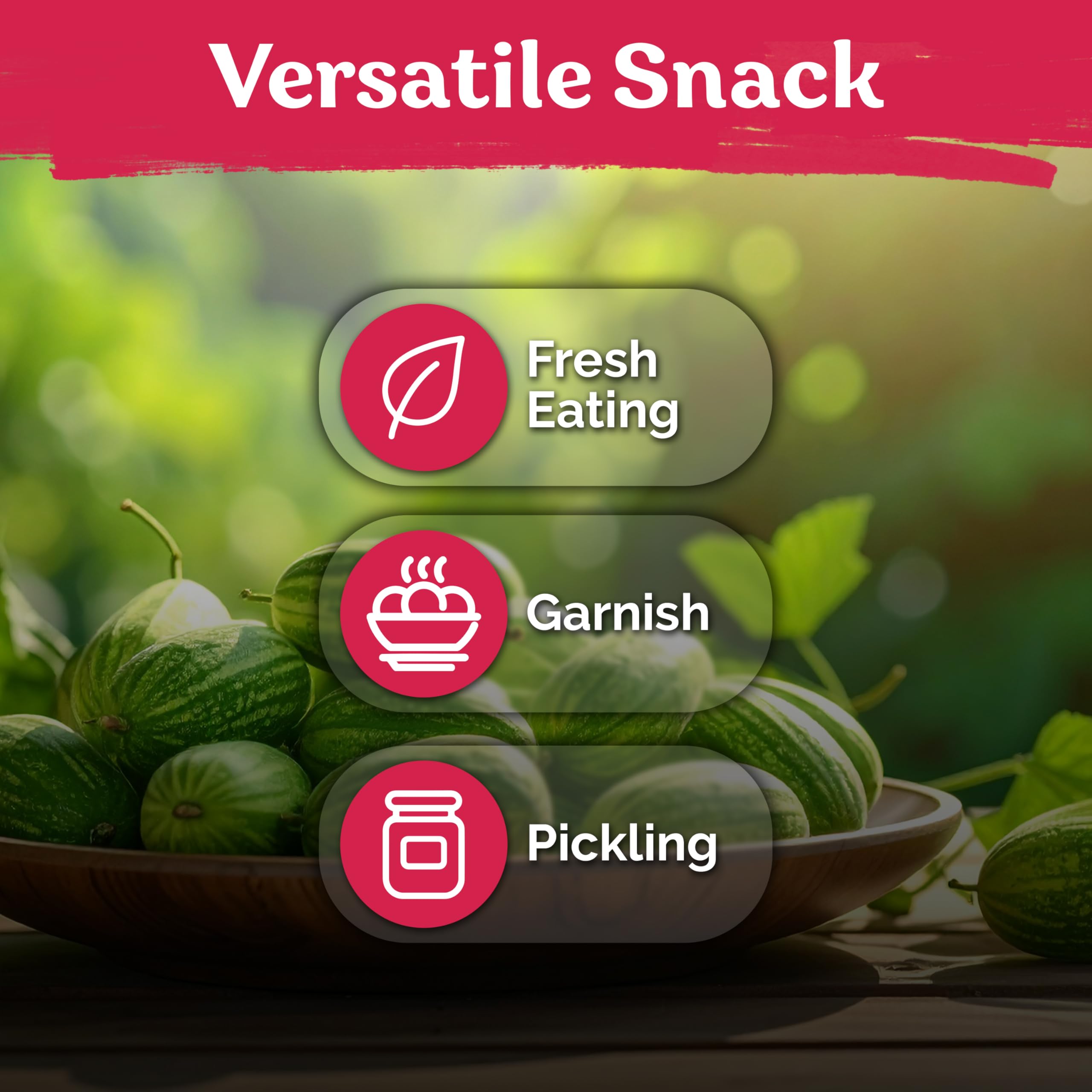 KVITER cucamelon adds crisp tang to salads and tacos.
