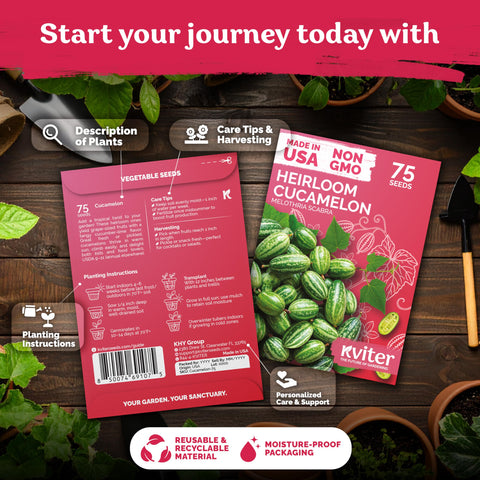 KVITER cucamelon seeds germinating in 10–14 days for faster harvests.