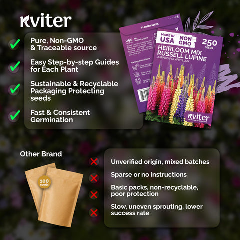 KVITER deep-rooted lupine supports erosion control and soil enrichment.