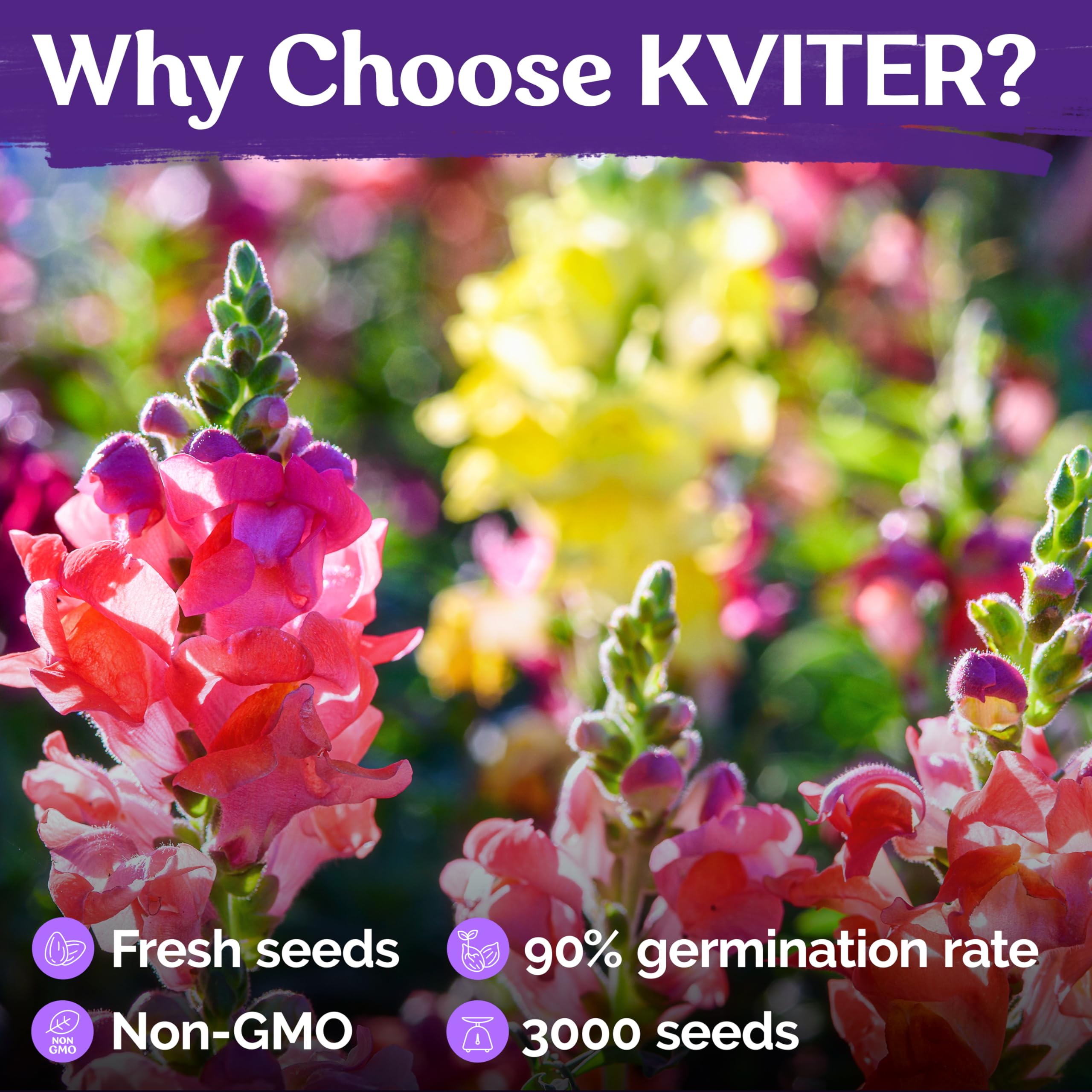 KVITER deer-repellent snaps help protect borders and containers.