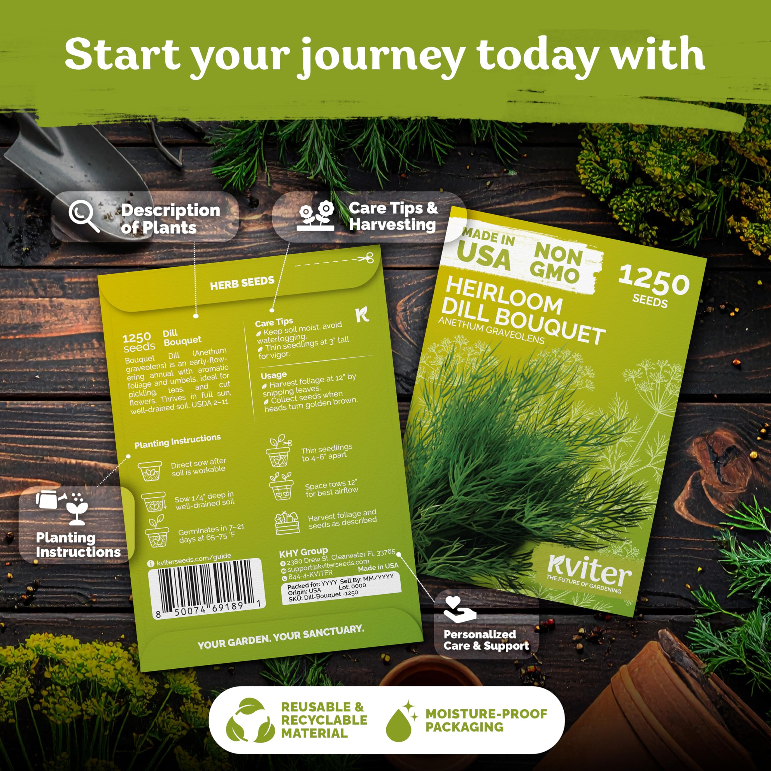KVITER dill plants with strong aroma for fresh herb harvest.