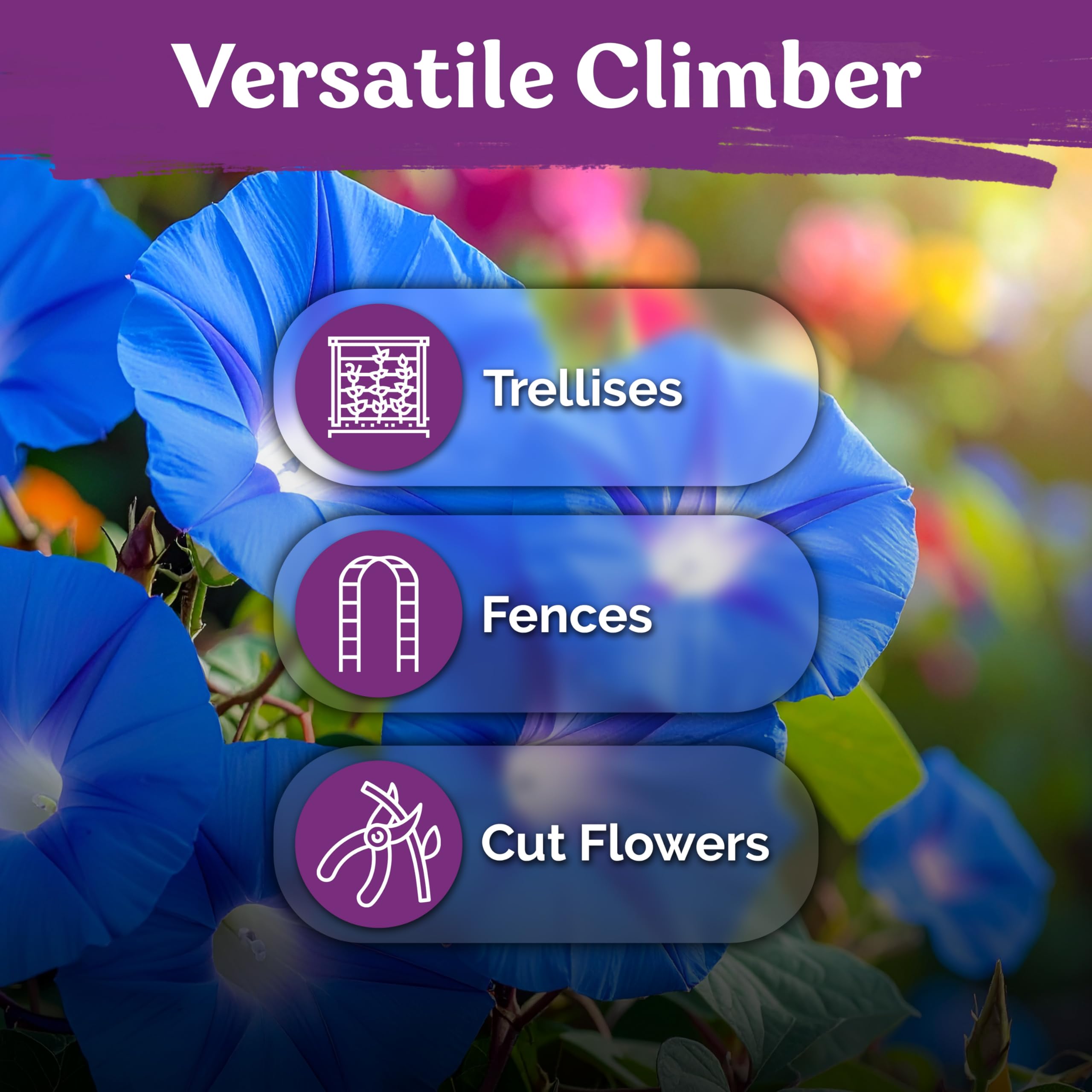 KVITER Outdoor-ready seeds with drought tolerance and deer resistance.