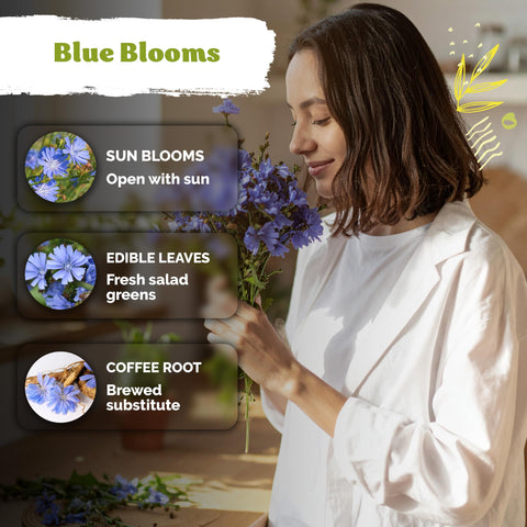 KVITER drought-tolerant growth supports long-lasting color in gardens.