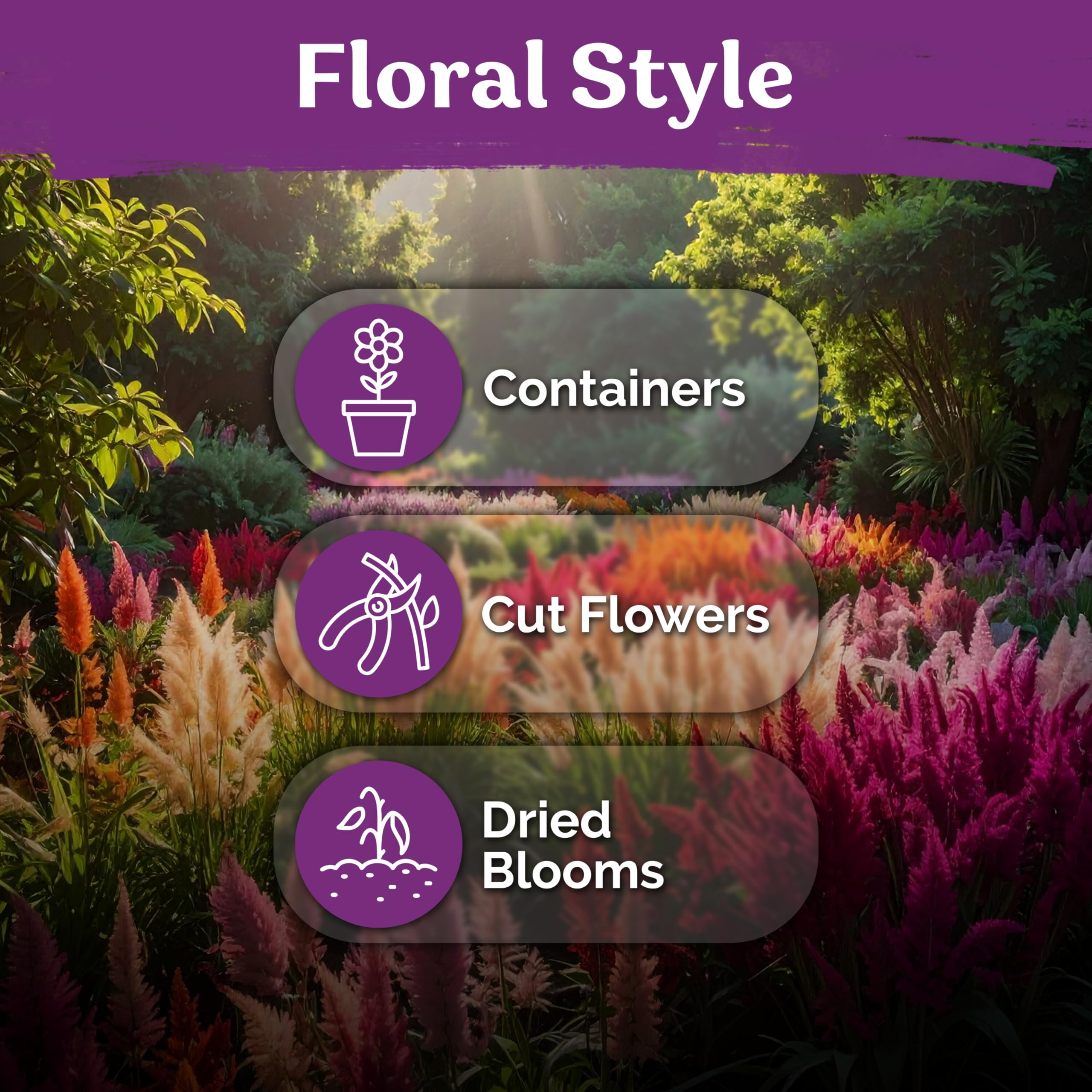 KVITER drought-tolerant seeds perform well in poorer soils.