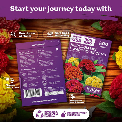 KVITER dwarf mix seeds packet ready for easy spring sowing and color
