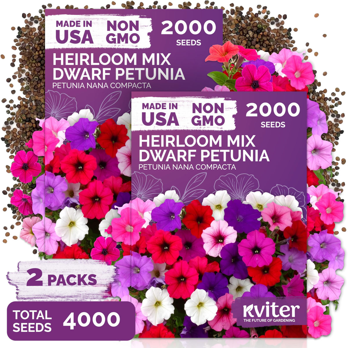KVITER dwarf petunia seeds packet for compact pots and small planters