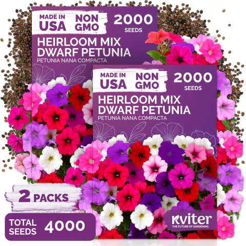 KVITER dwarf petunia seeds packet for compact pots and small planters