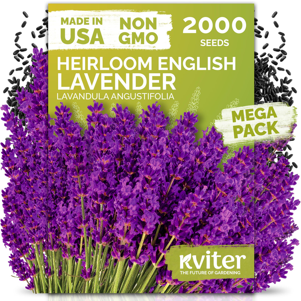 KVITER English Lavender seeds pack ready for home gardening and fragrance