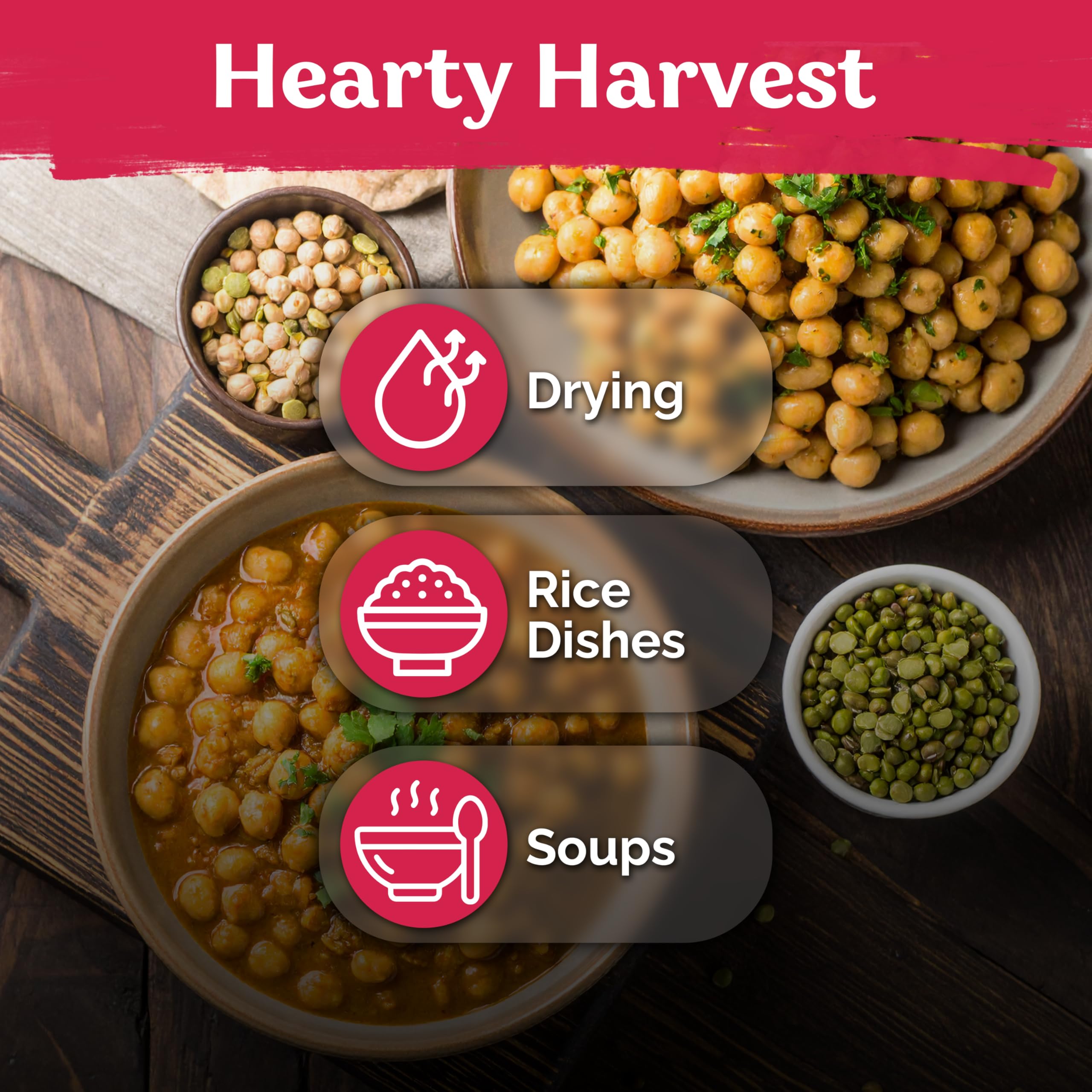 KVITER high-yield potential supports abundant harvests of dried pigeon peas.