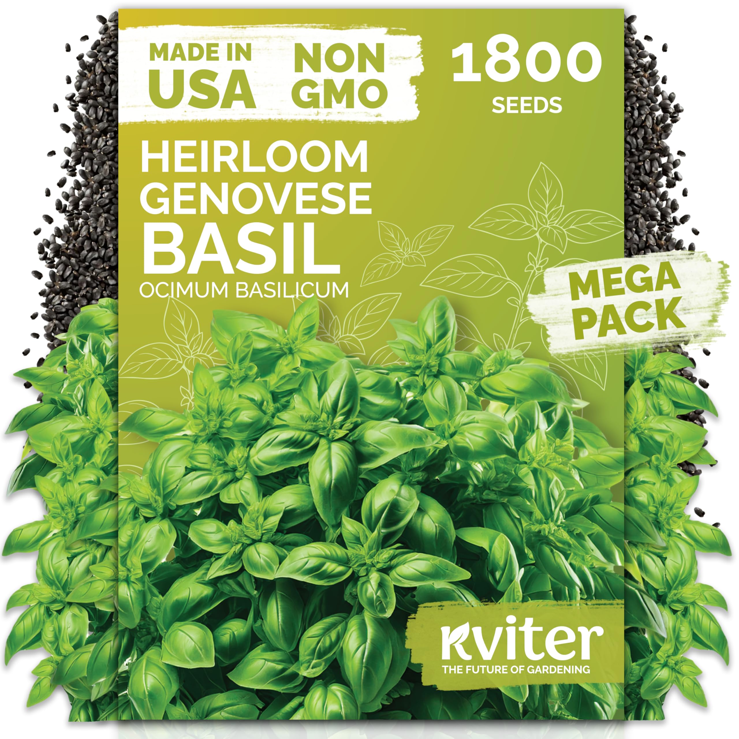 KVITER Genovese basil seeds pack ready for kitchen garden planting.