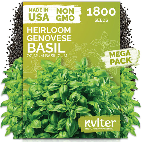 KVITER Genovese basil seeds pack ready for kitchen garden planting.