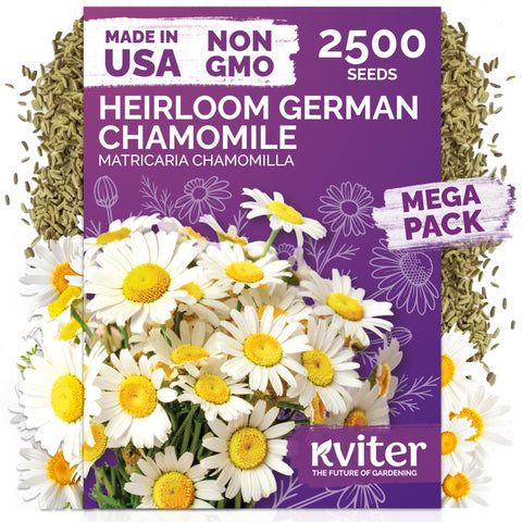 KVITER German chamomile seeds pack, ideal for an easy tea garden and organic growing.