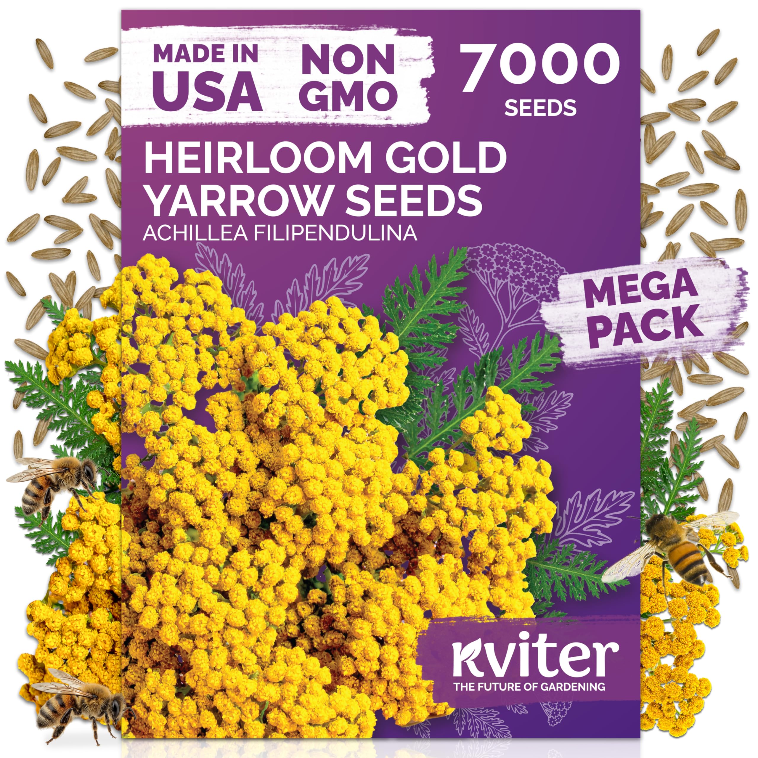 KVITER gold yarrow seeds packet ready for pollinator-friendly planting.