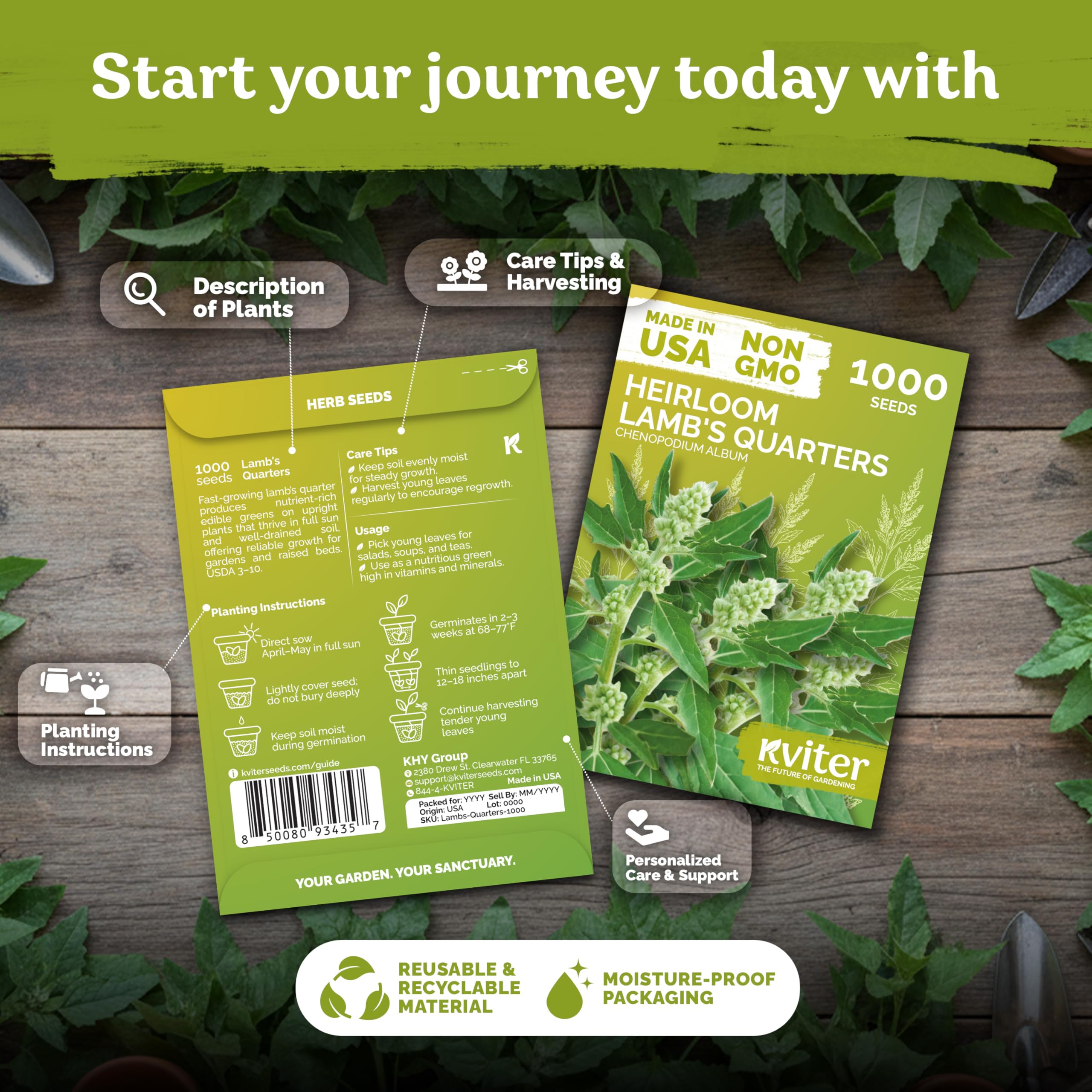 KVITER Goosefoot leaves close-up ideal for fresh salads.