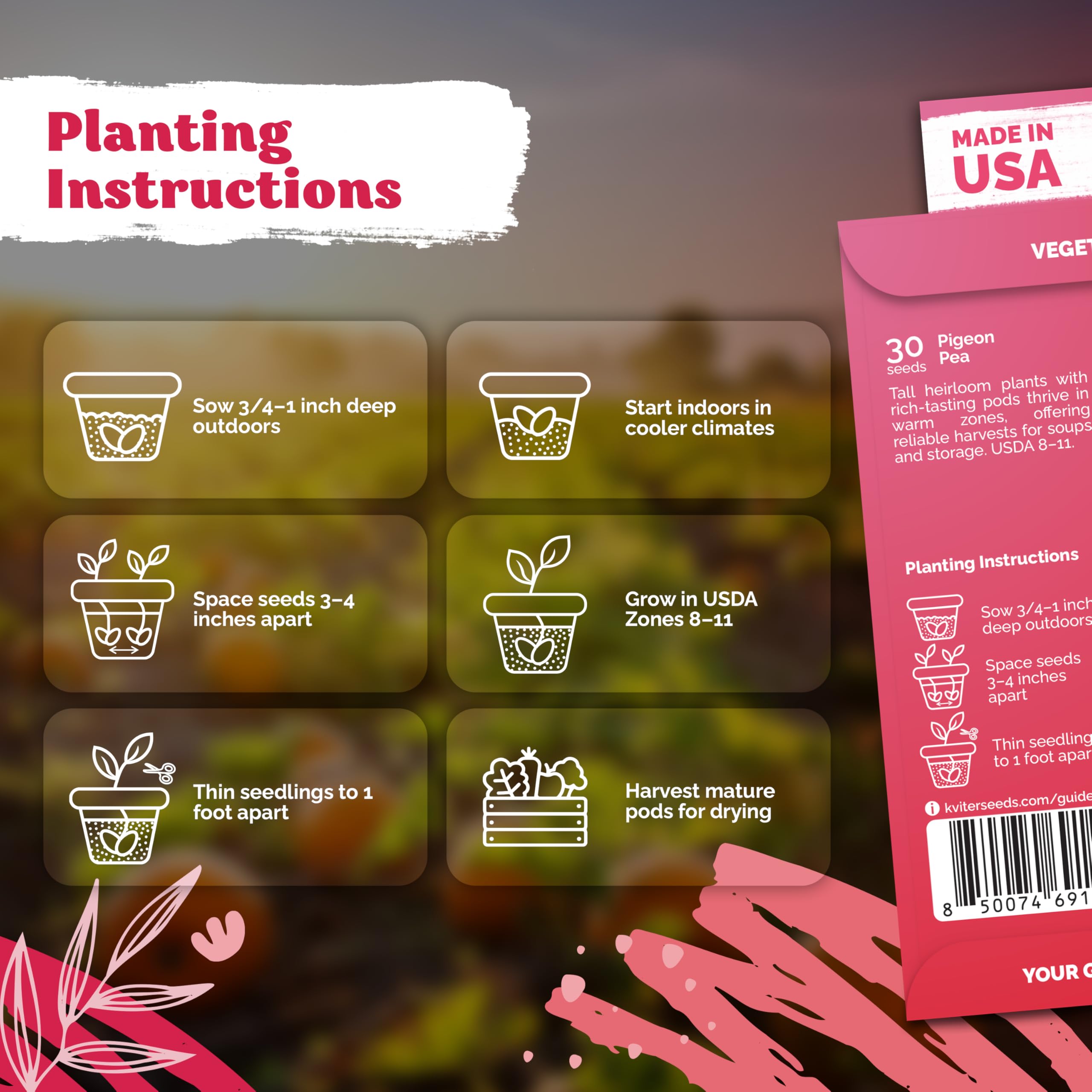 KVITER guandules seeds germination-ready, great for zones 8–11 and urban gardens.