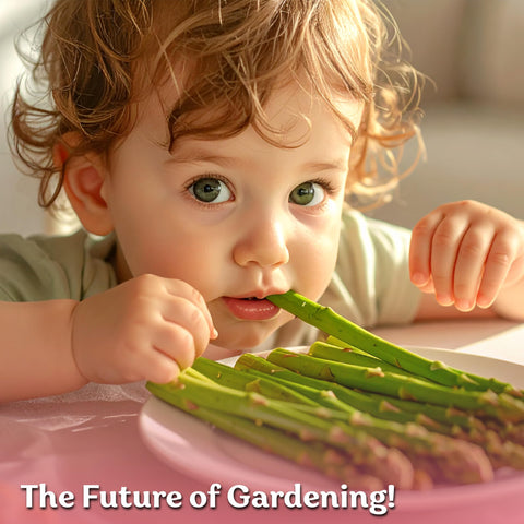 KVITER hand harvesting asparagus spears in a home garden backdrop