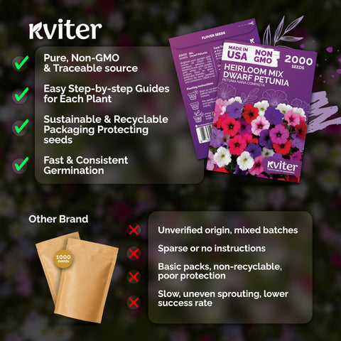 KVITER hanging basket display with petunia seeds for elevated color.