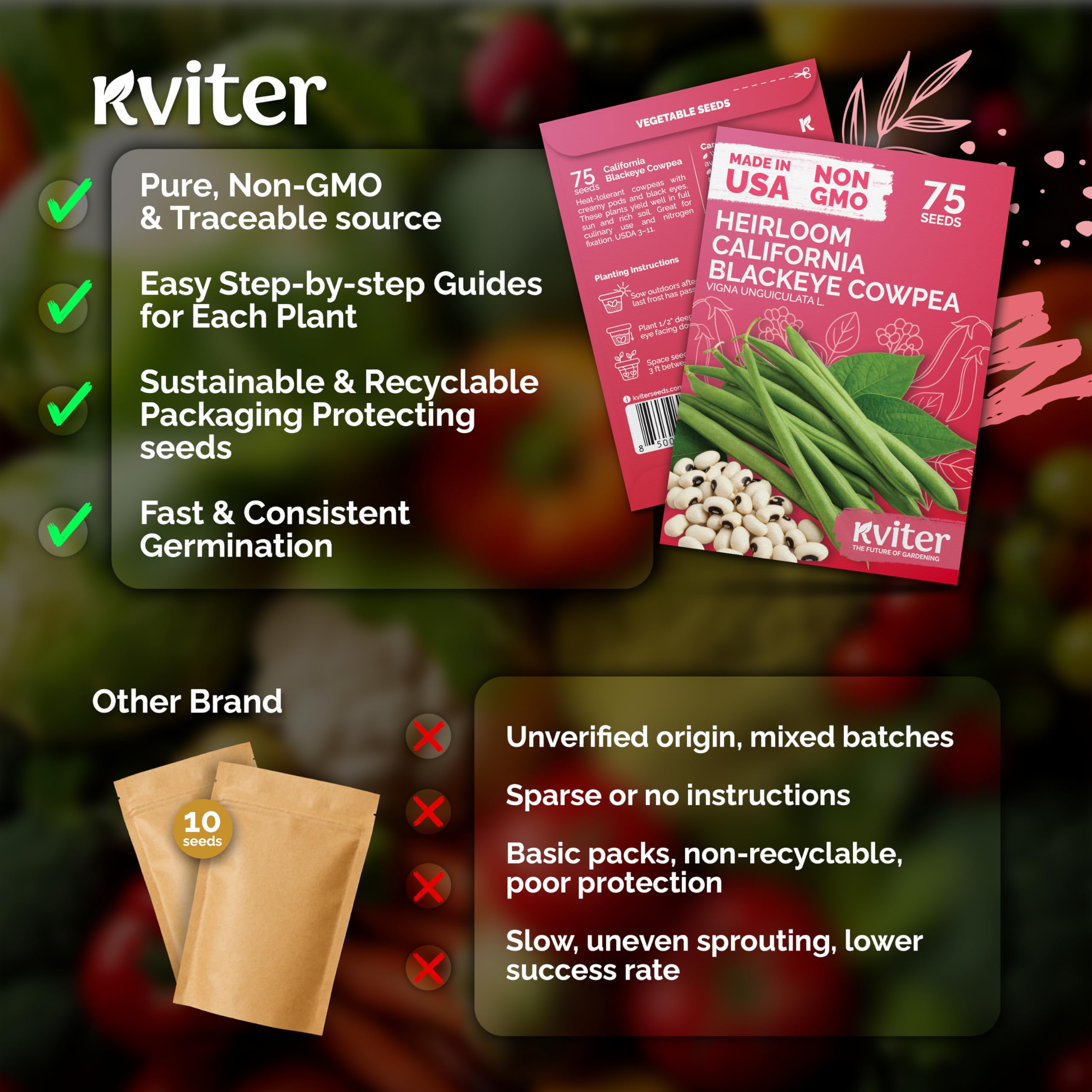 KVITER harvest-ready cowpeas pods, ideal for stews and sides