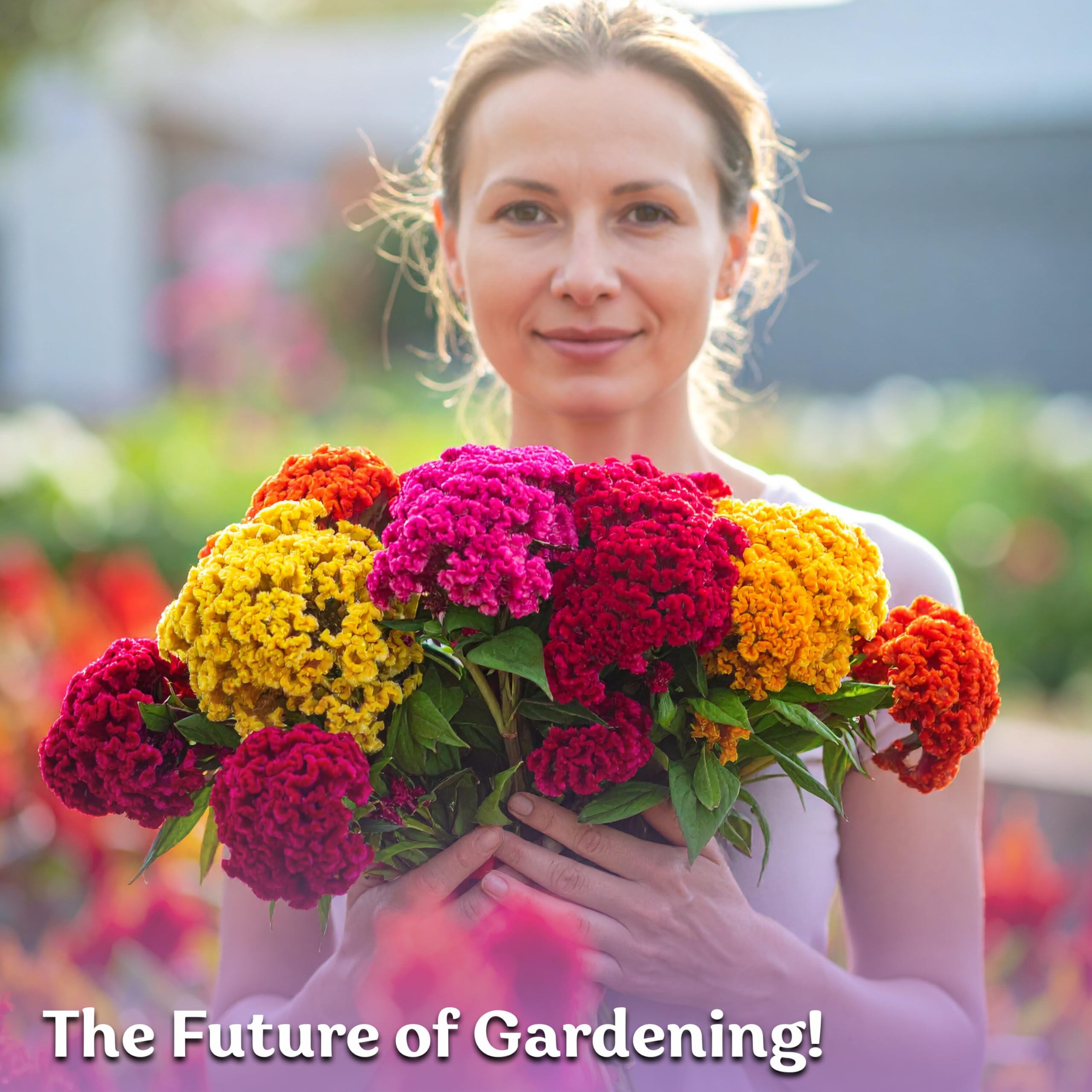 KVITER heirloom flower seed mix for container gardens and patios
