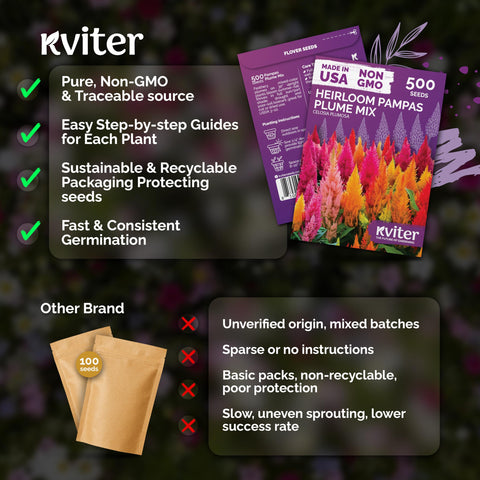 KVITER heirloom non-GMO seeds offer open-pollinated color variety.