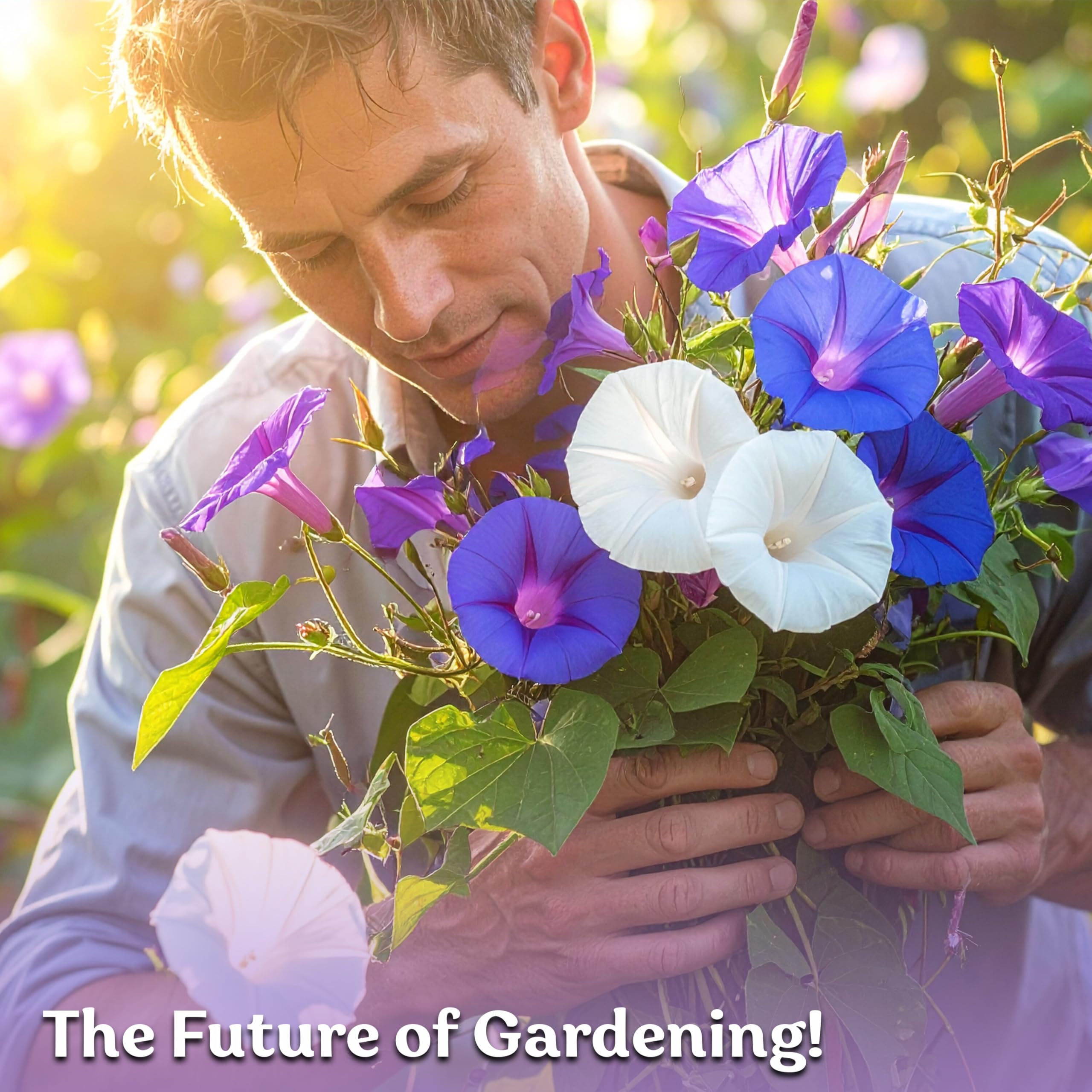 KVITER heirloom seed pack invites seasonal color and long-term garden joy