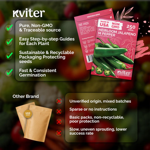 KVITER indoor planting prep, sow before last frost for earlier harvest.