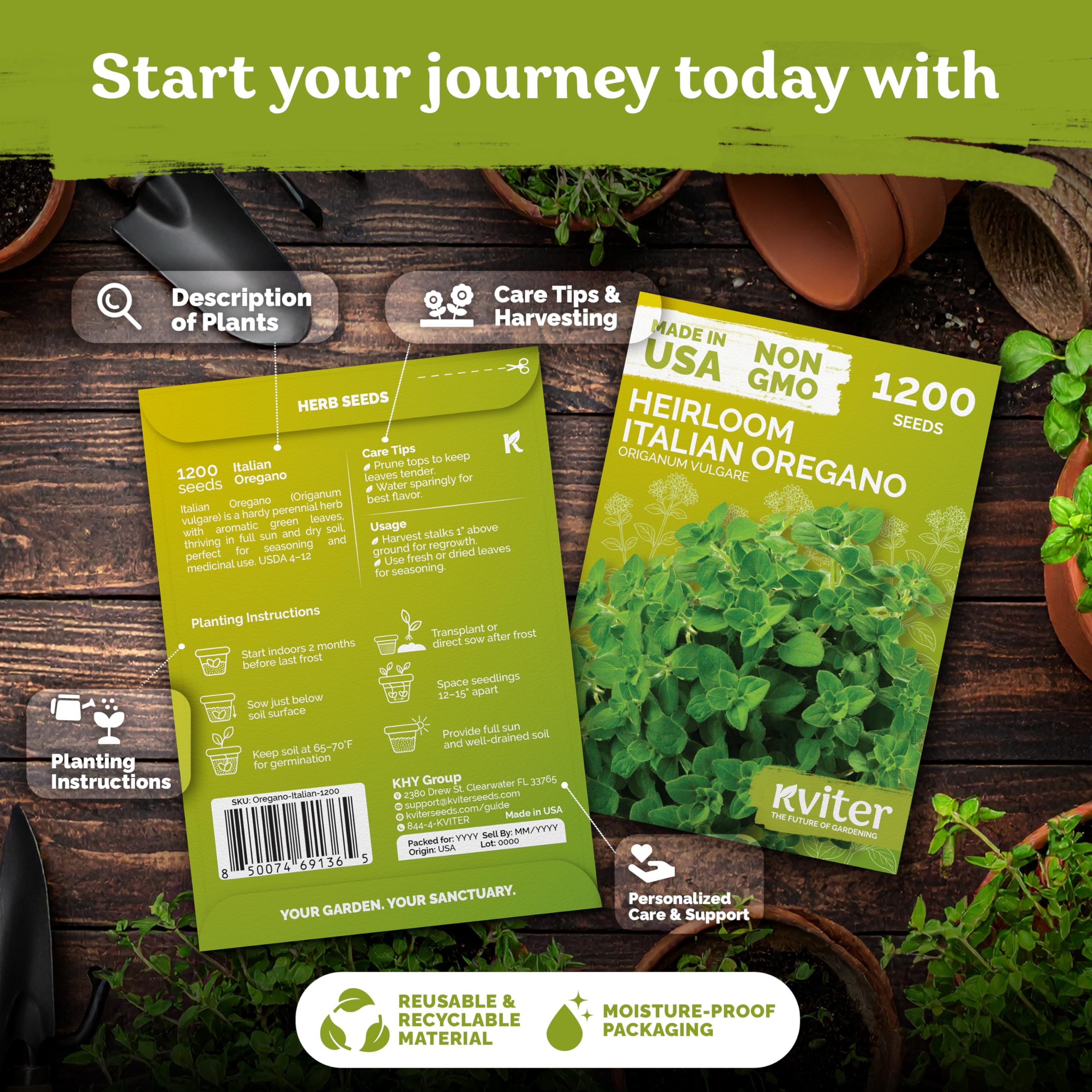 KVITER oregano seedling under sun demonstrates strong germination readiness for fresh growth.