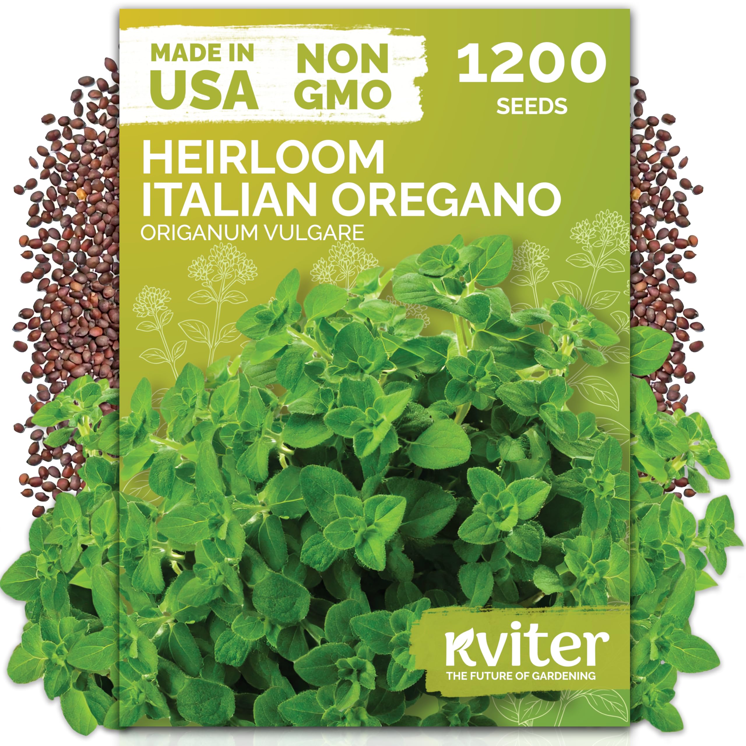 KVITER Italian oregano seeds pack shot for versatile planting in pots or beds.