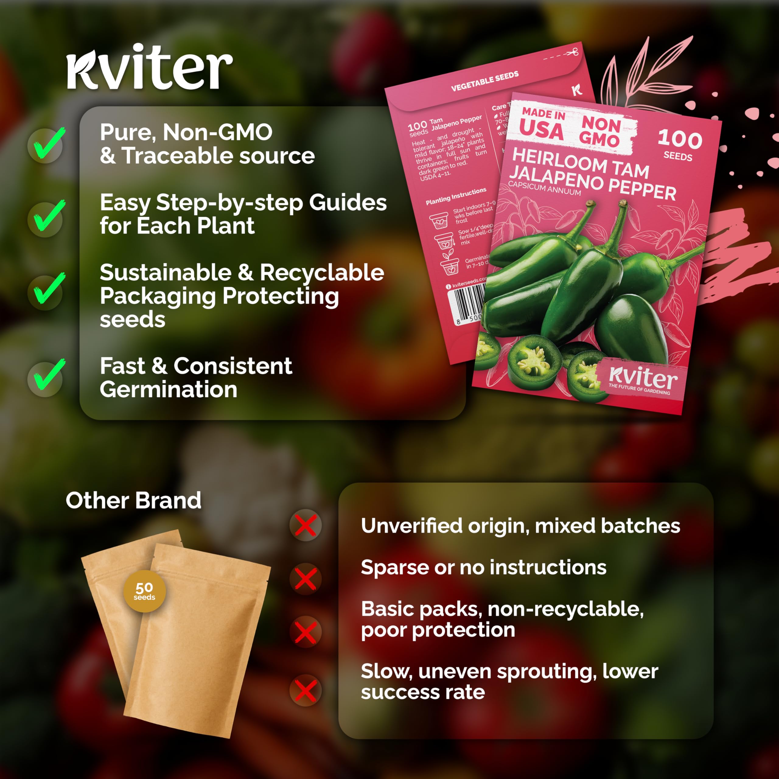 KVITER jalapeño seeds harvest-ready peppers on healthy plants.