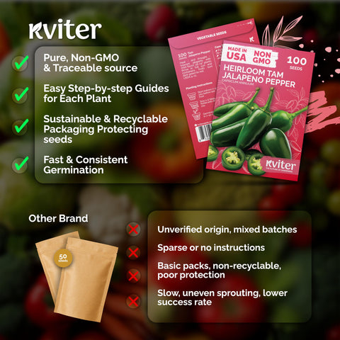 KVITER jalapeño seeds harvest-ready peppers on healthy plants.