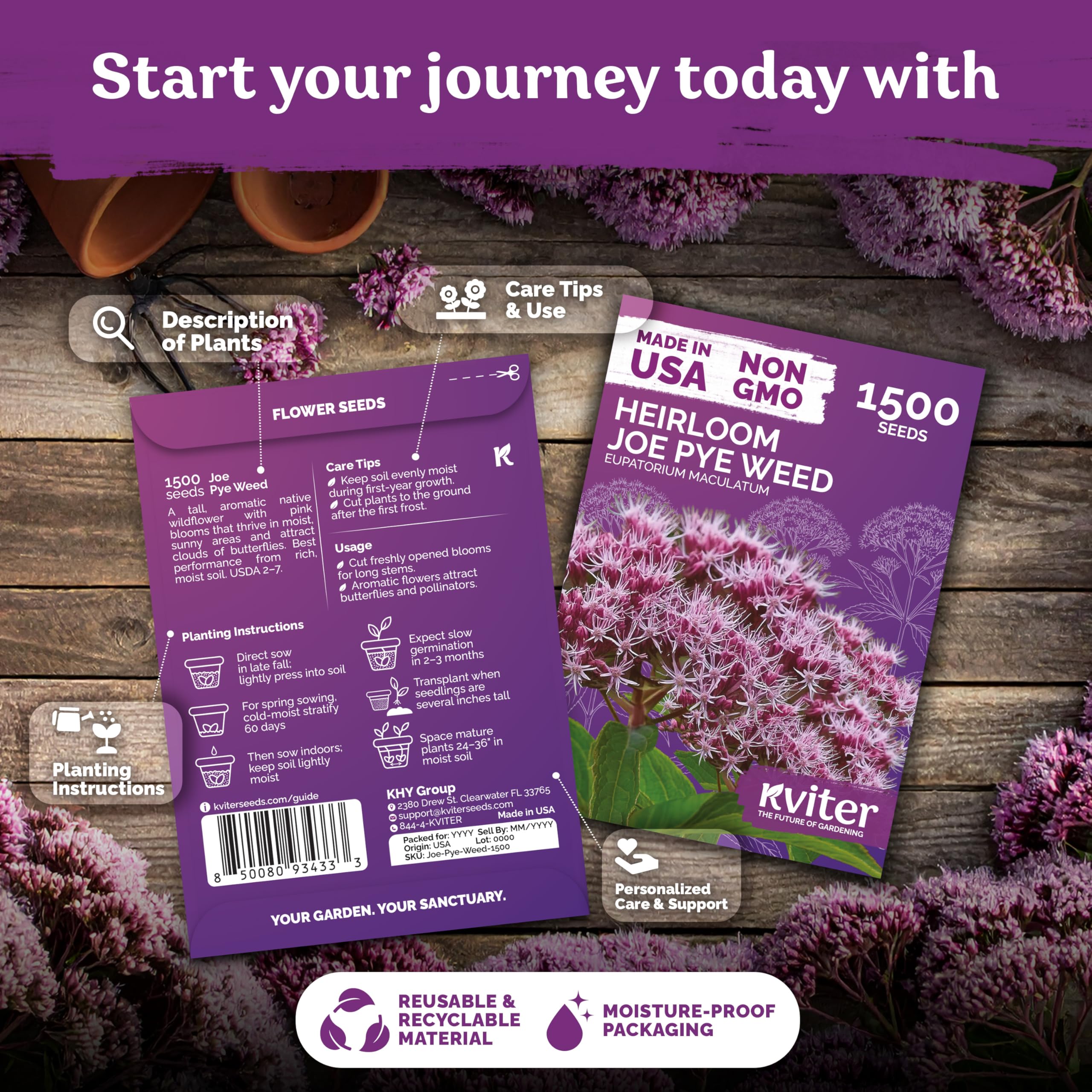 KVITER Joe Pye Weed seeds attract butterflies and bees with aromatic late-summer flowers.