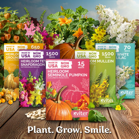 KVITER seeds sprout in 14–21 days for faster garden starts.