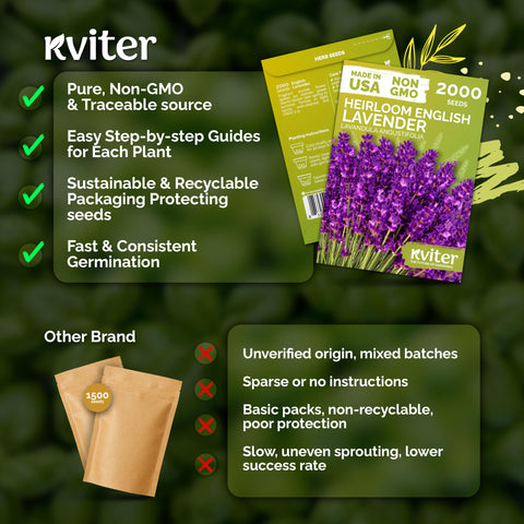 KVITER lavender border garden idea with compact, fragrant perennials