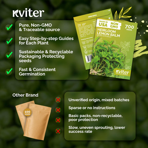 KVITER lemon balm seeds bloom attracts bees for pollination.
