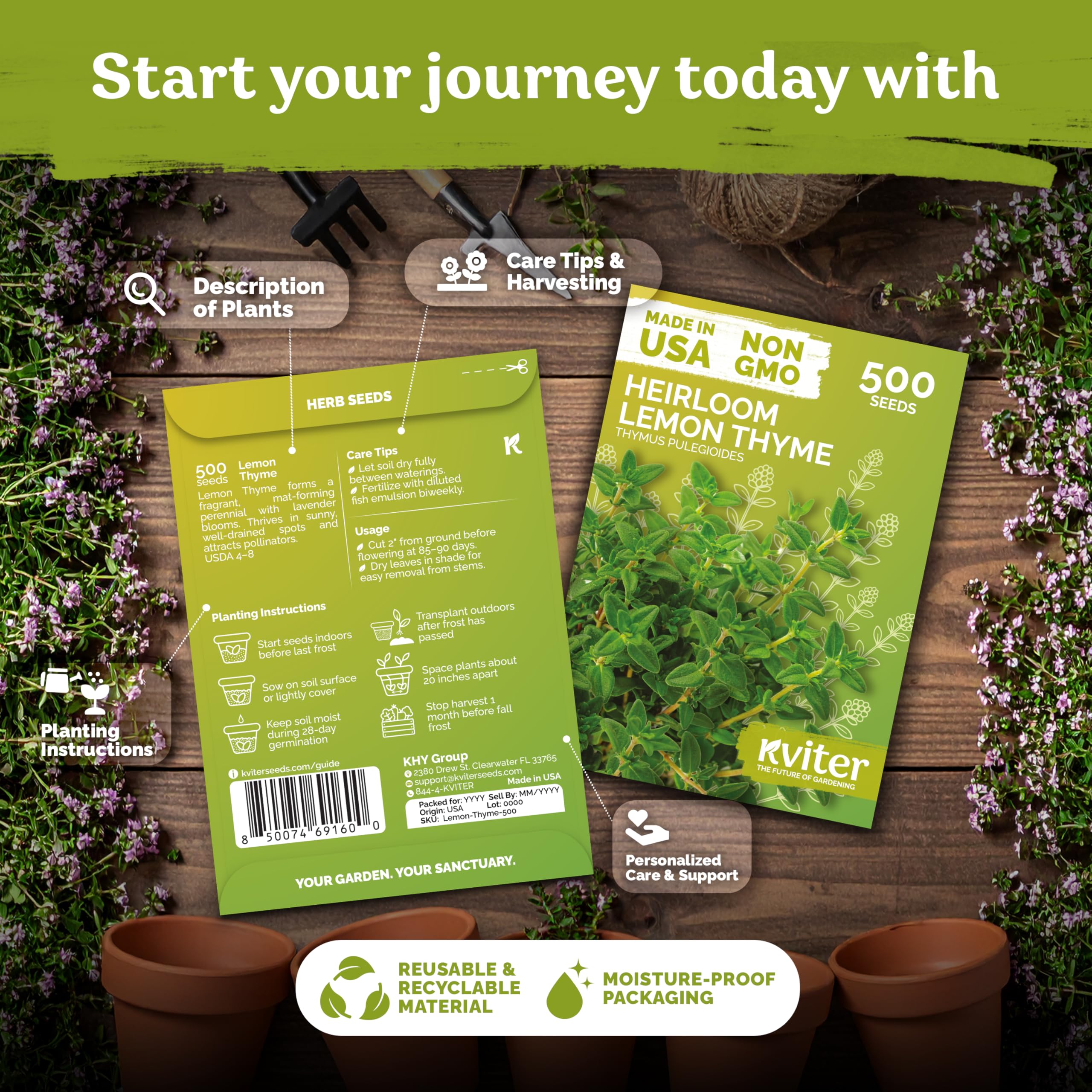 KVITER lemon thyme seeds ground cover spreading for a fragrant, low-maintenance lawn