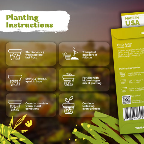 KVITER lemongrass seeds sowing demonstration for easy indoor starts.