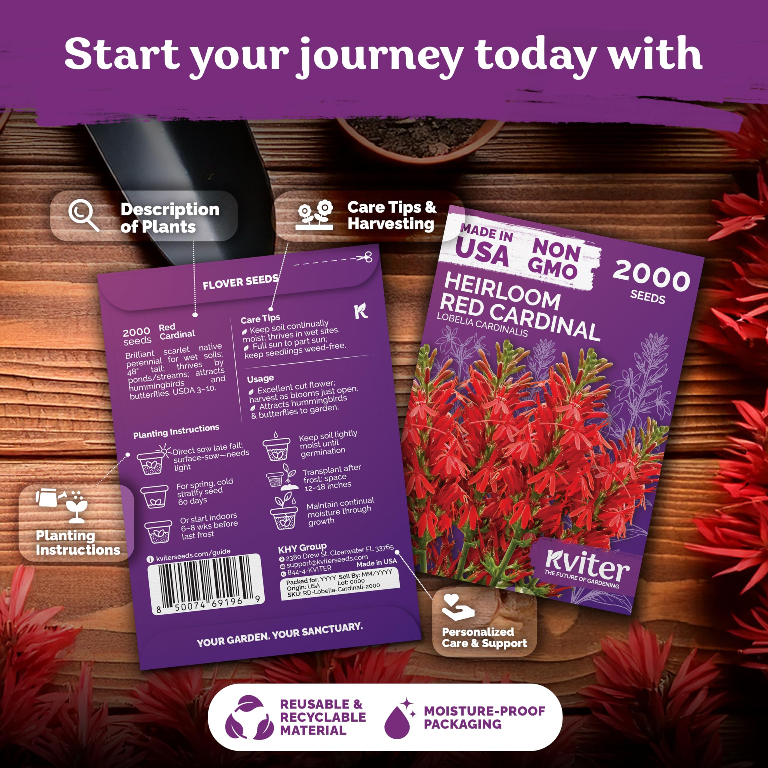 KVITER 2000 Lobelia cardinalis spikes showcase scarlet blooms in the garden.