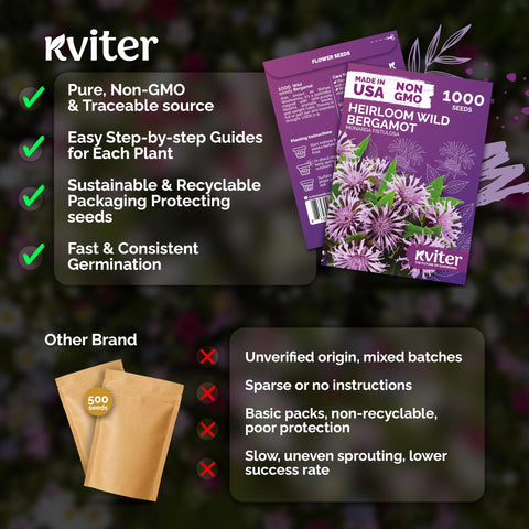 KVITER monarda leaves provide citrus aroma for tea or potpourri.
