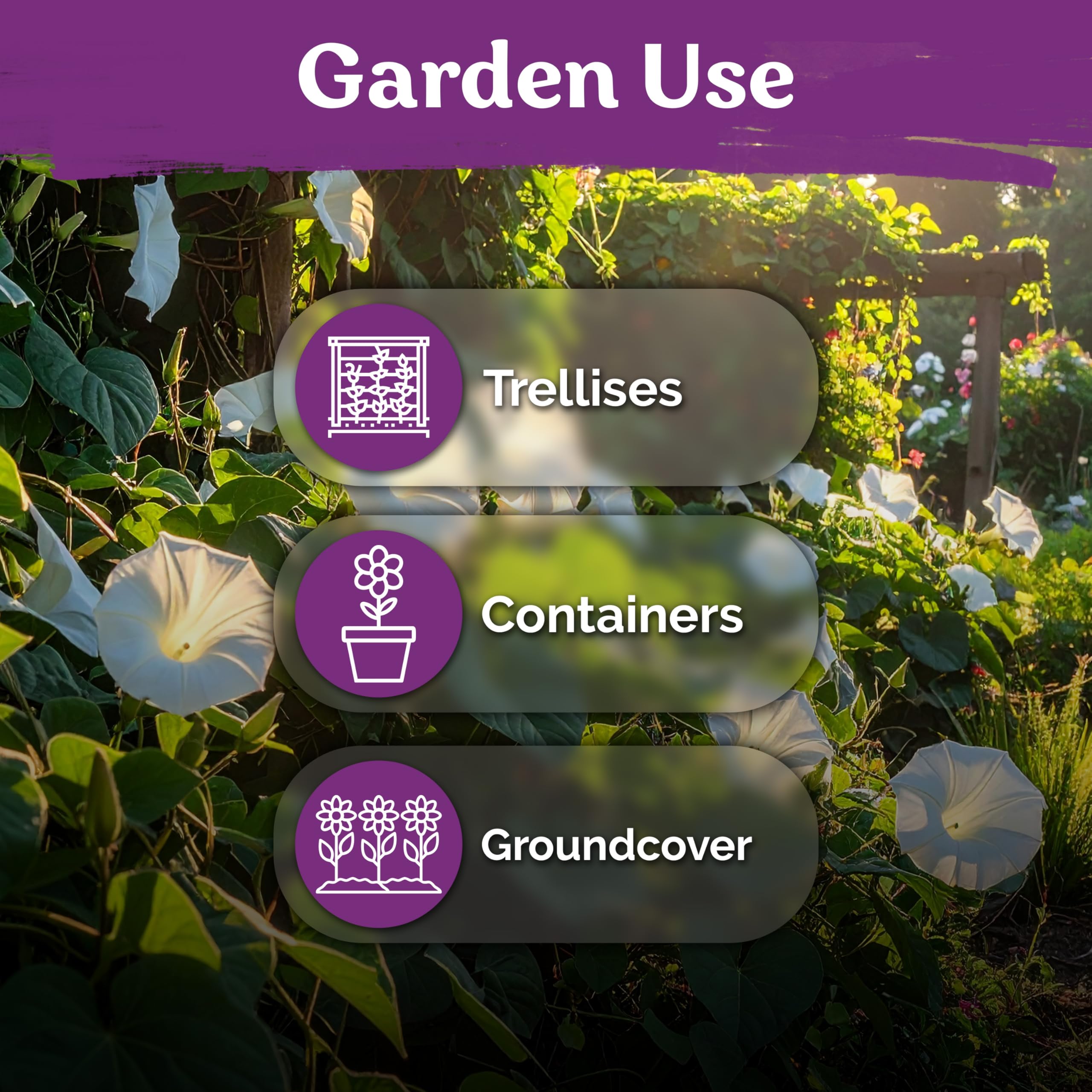 KVITER Moonflower trellis container garden shows versatile placement in outdoor spaces